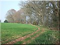 Footpath passing woods at Dotton in EX10 0JY