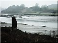 Mudflats on the Western Cleddau in Hook (Pembrokeshire)