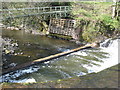 Footbridge and weir River Dane in SK11 0QE