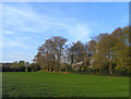Pasture and woodland, Goring Heath in RG8 7PB