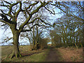 Bridleway, Ewelme in South Oxfordshire District