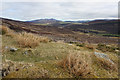 Moorland west of Knock Farm in AB37 9HP