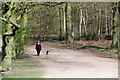 Walking the Dog, Trent Park, London N14 in EN4 0PS