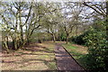 Japanese Garden, Trent Park, London N14 in EN4 0BY