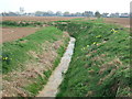 Ditch on Old Fen Lane in Pinchbeck and Surfleet Ward