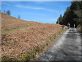 Track towards Troed-y-rhiw-felen in LD6 5HL