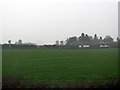 Fields before the M5 motorway in B60 4BL