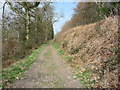 Offa's Dyke Path beside Offa's Dyke in Candy Woods in SY10 9AY