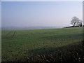 Farmland near Ufton Fields Farm in DE55 7LQ
