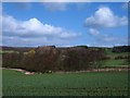 Howardian Hills landscape in YO61 4SA