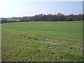 Farmland near Old Tupton in Clay Cross North Ward