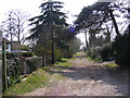 Footpath to Snape Warren in IP17 1RN