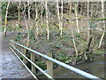 Footbridge over the river Clywedog in LL15 2DD