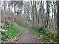 Ceiriog Valley Walk in LL14 5BS