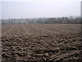 Farmland near Meadow Farm in DE55 6JZ