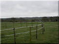 Broom Hill, paddocks in BH21 7BD