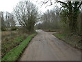 Uddens, bridleway junction in BH21 7BJ