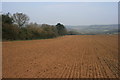 Newly sown field south of Abinger in GU5 9PE