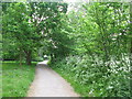 Path in South Norwood Country Park in BR3 4RQ