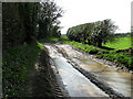 Muddy track in Hanworth in NR11 7AE
