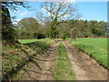 Track from Manor Farm to St Bartholomew's church, Hanworth in NR11 7AE