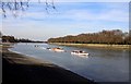The River Thames at Putney in SW15 1HL