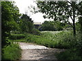 Footbridge over a drain in South Norwood Country Park in BR3 4RQ