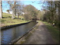 Llangollen canal, looking north-east in LL20 7SH