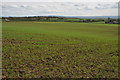 Arable land, Temple Grafton in B49 6PA