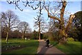 Footpath through Greenwich Park in SE3 7AR
