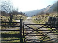 Path into the hills, Blaencwm in CF42 5DU