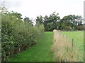 Footpath and hedges, Polstead in CO6 5AG
