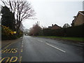 Lindfield Road, Ardingly in RH17 6UN