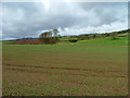 Farmland east of Fowlis Wester in PH7 3NW