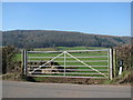 Field gate north of Mitcheldean in GL17 0DP