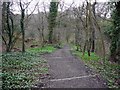 Path into Walbottle Dene from Hexham Road in NE15 9BD
