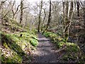 Path in Walbottle Dene in NE15 9BD
