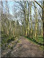 Path through Dawson Wood, Idle in BD10 0PU