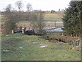 Bridge over Vicarage Burn in NE19 2PE