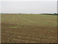 Field and Hangar in Strubby with Woodthorpe