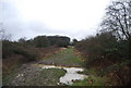Muddy path, Roundshaw Downs in CR8 2BB