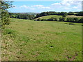 View towards North Huish in TQ10 9NF