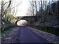 Bridge over the Derwent Walk in NE39 1NB