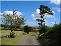 Farm driveway, Venn in PL21 0PE