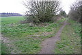 Bridleway to White Hill in RG25 3NT