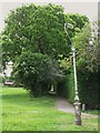 Lamppost and path near Shirley Oaks Hospital in CR0 8XE