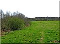 Footpath across Horseshoe Meadow, near Cookley in DY11 5XJ