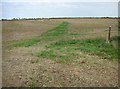Footpath across corn stubble in NN9 5HA