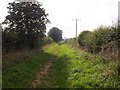 Green lane bridleway [1] in CV37 8FG