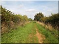 Green lane bridleway [2] in CV37 8FG